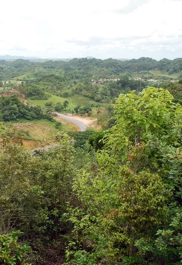 Vigilancia Los Haitises será más  reforzada