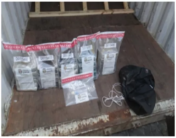 DNCD 29 PAQUETES CAUCEDO. 02jpg