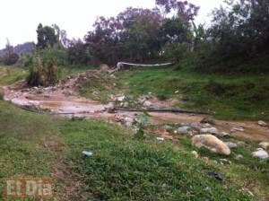 Consejo Ambiental de Constanza denuncia depredación de los bosques