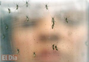 Se desploman los casos de dengue, zika y chikunguña en Brasil este año