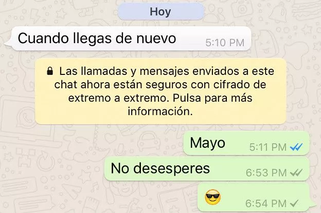 WhasApp