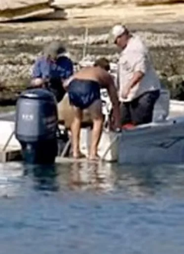 28_Cartelera_22_1,p01