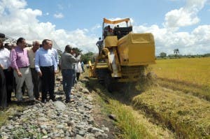 Ministro de Agricultura asegura no habrá importación de arroz