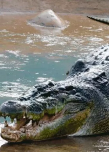 26_Cartelera_24_3,p01