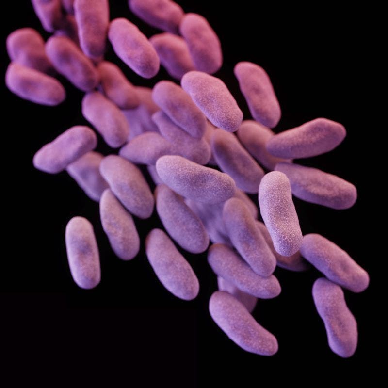 “Superbacteria” hallada en EEUU podría dar inicio al fin de los antibióticos