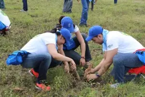 Grupo Popular siembran más de 6 mil árboles en jornadas de reforestación