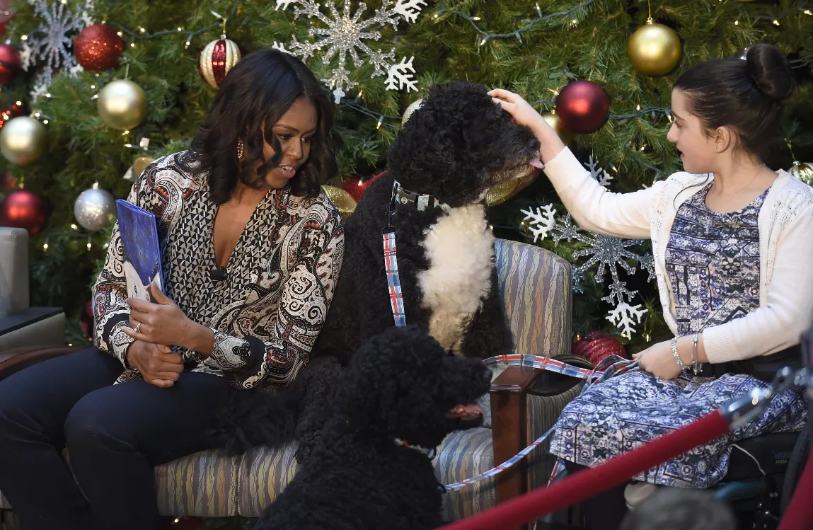 Los perros de la familia Obama no solo comen y duermen