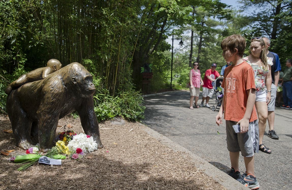 Organizan vigilia en recuerdo del gorila sacrificado en Ohio