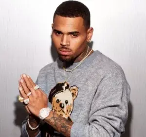 Chris Brown fue arrestado en Florida