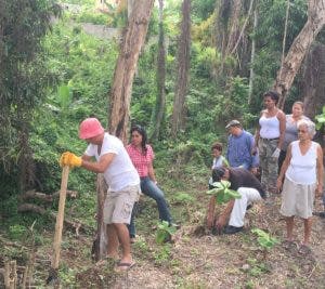 Desarrollan jornada para preservar áreas verdes en el Día Mundial del Medio Ambiente