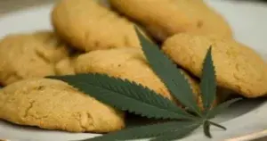 EEUU: 6 hospitalizados por comer galletas con marihuana al salir de una iglesia