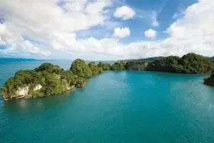 Hoy celebramos el Día Internacional del Medio Ambiente