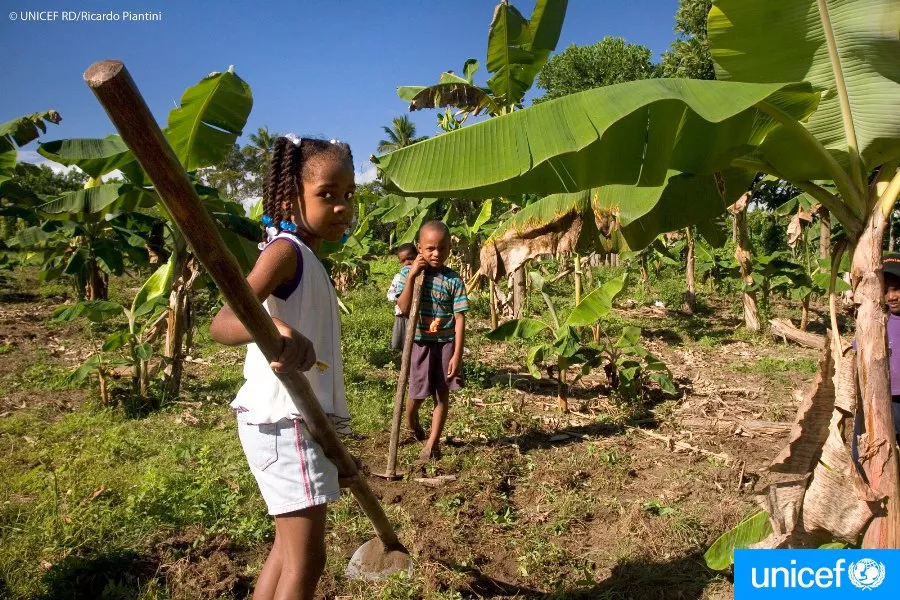 UNICEF afirma trabajo infantil en RD afecta a más de 300,000 niños y adolescentes