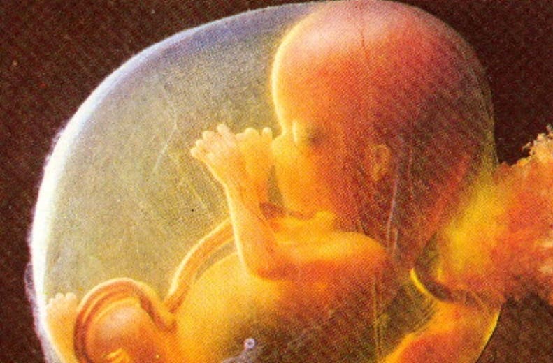 Alianza Cristiana presenta campaña pidiendo a legisladores despenalizar interrupción del embarazo en tres causales
