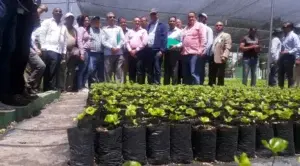 Vivero fue inaugurado en Hondo Valle