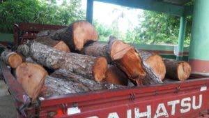 Apresan hombre tras incautarle 18 troncos de madera preciosa