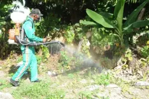 Gobierno continúa jornada contra virus del Zika