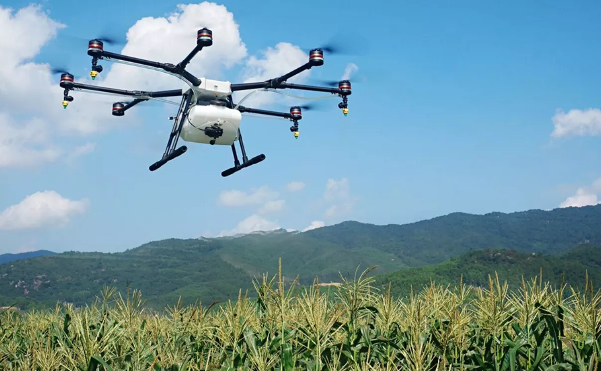 Drones son usados en la agricultura local