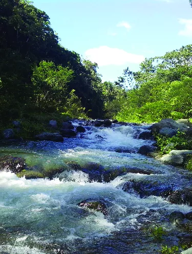 Coca-Cola contribuye con el ambiente