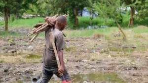 La Vieja Barquita será convertida en un parque ecológico y fluvial