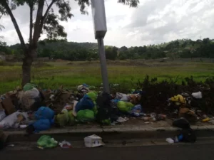 basura 3