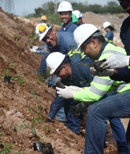 CEMEX realiza jornada de reforestación en San Pedro de Macorís