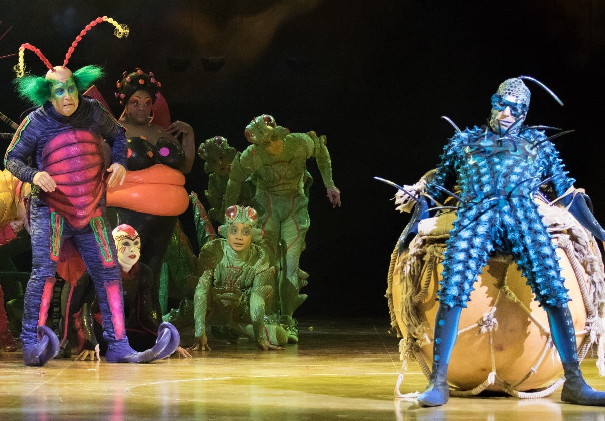 Cirque du Soleil vuelve al país con Ovo