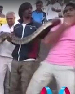 Por una selfie reptil muerde en el pecho a fotógrafo