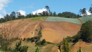 Medio Ambiente interviene Valle Nuevo y prohíbe cultivos agrícolas y pecuarios