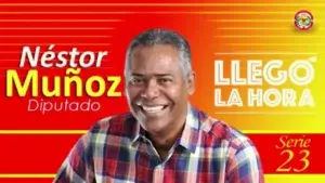 Diputado niega sea suyo cargamento de armas decomisado en Haina