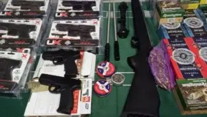 Aduanas incauta cargamento de 18 pistolas, un rifle y 55 cajas de cartuchos