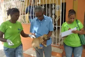 Salud Pública realiza jornada de vacunación perros y gatos