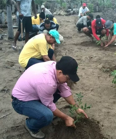 Ambiente siembra árboles en Las Dunas