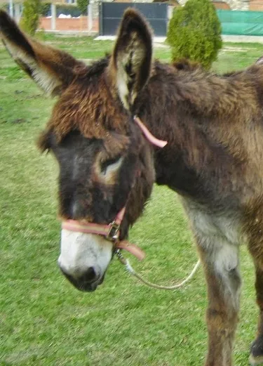 24_cartelera_11_3p01