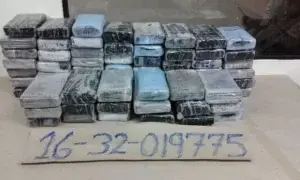 Decomisan 103 paquetes de droga en Multimodal Caucedo