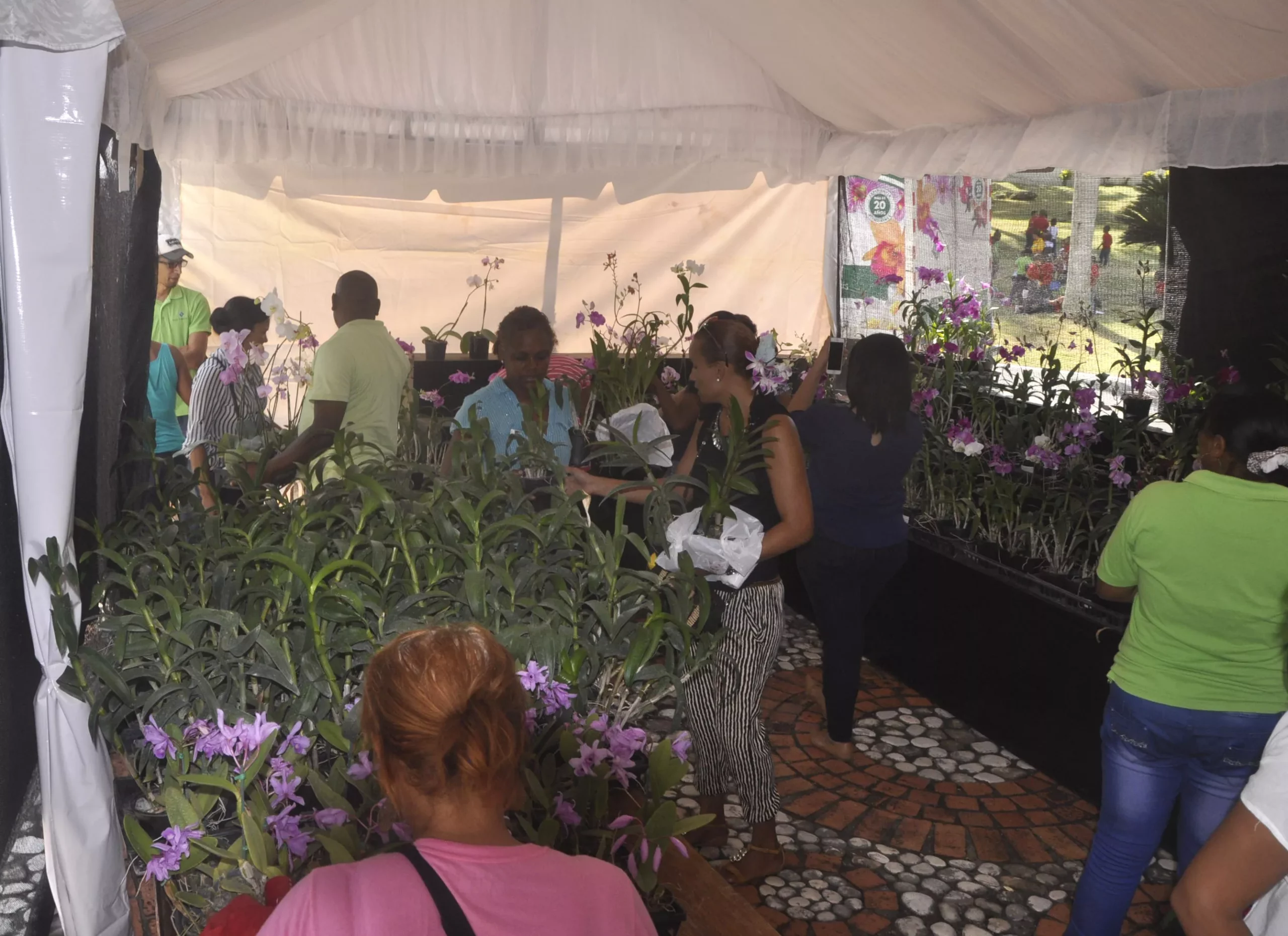 Realizan festival para  incentivar a la población sobre el valor de las plantas