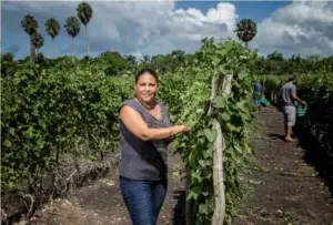 Banco ADOPEM apoya a las mujeres rurales