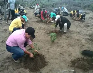 Medio Ambiente realiza jornada de reforestación en las dunas de Baní