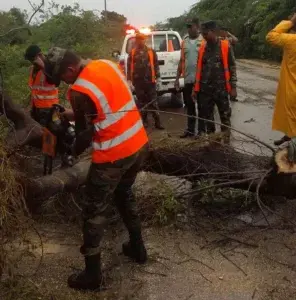 Fuertes lluvias y vientos en Oviedo dejan viviendas sin techo y árboles derribados