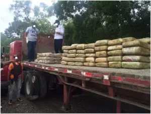 Decomisan  148 pacas de marihuana en puesto de control de Azua