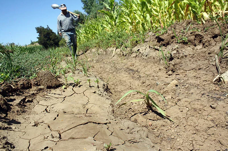 Latinoamérica y el Caribe acuerdan prevención y alerta temprana ante sequía