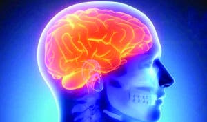 Demuestran que el cerebro humano genera nuevas neuronas hasta los 90 años