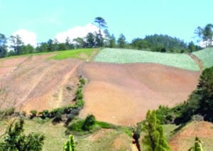 Restauración de hábitat  ambiental puede tomar décadas