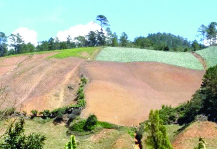 Restauración de hábitat  ambiental puede tomar décadas