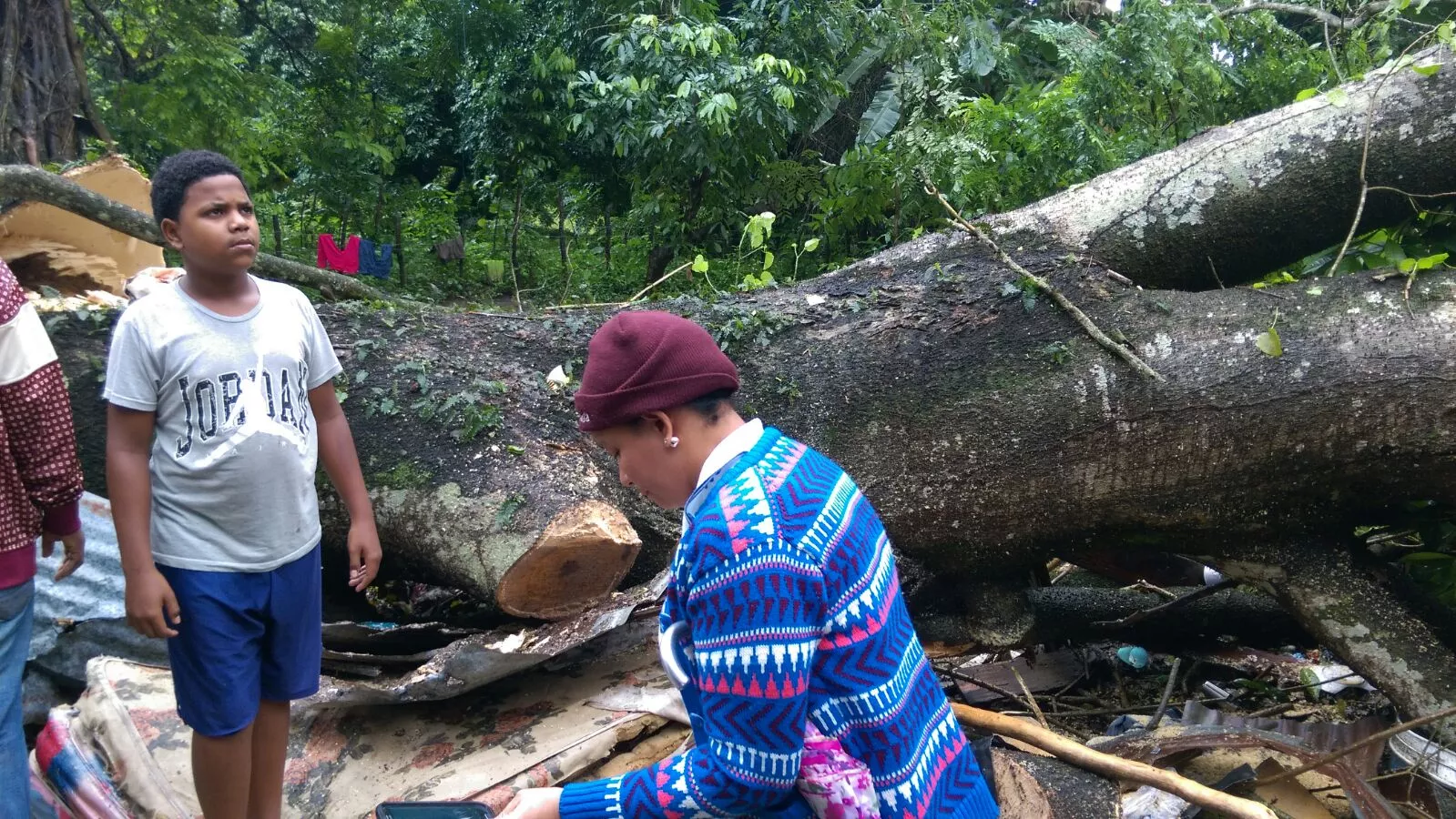 Autoridades de Salcedo no acudieron a derribar árbol, pese a solicitud de la comunidad