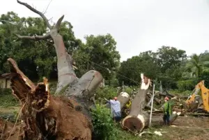 Huracán Otto deja lluvias torrenciales al cruzar Nicaragua