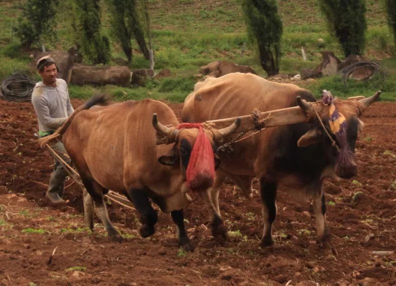 Valle Nuevo sigue ocupado por productores