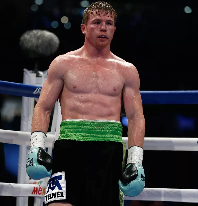 Canelo y Chávez Jr. establecerían récord