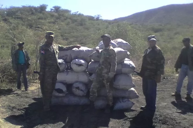 Medio Ambiente incauta 106 sacos de carbón vegetal y destruye 14 hornos en varias provincias del país