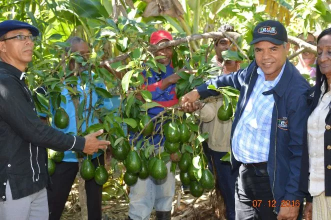 Gobierno financia productores del Suroeste a través del FEDA